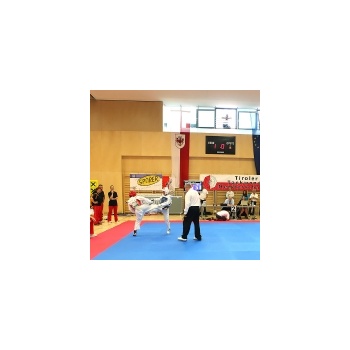15. Taekwondo Meisterschaften Tirol - Mayrhofen- Teil 1