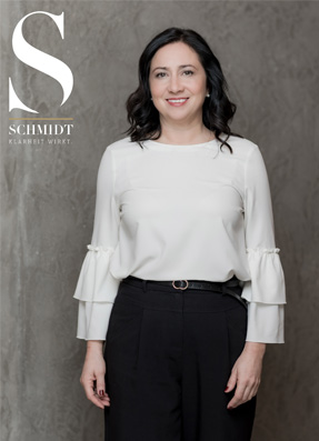 https://www.schmidt-strategie.at/